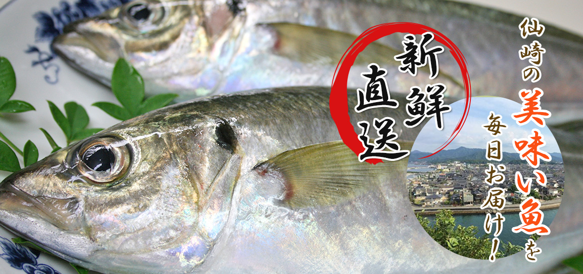仙崎の美味い魚を 毎日お届け！