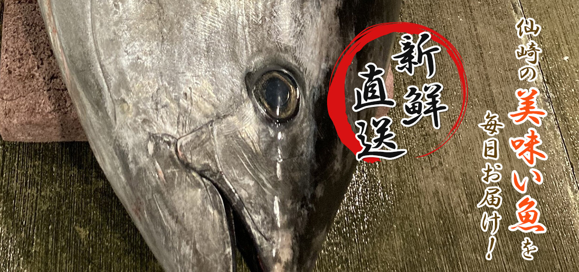 仙崎の美味い魚を 毎日お届け！